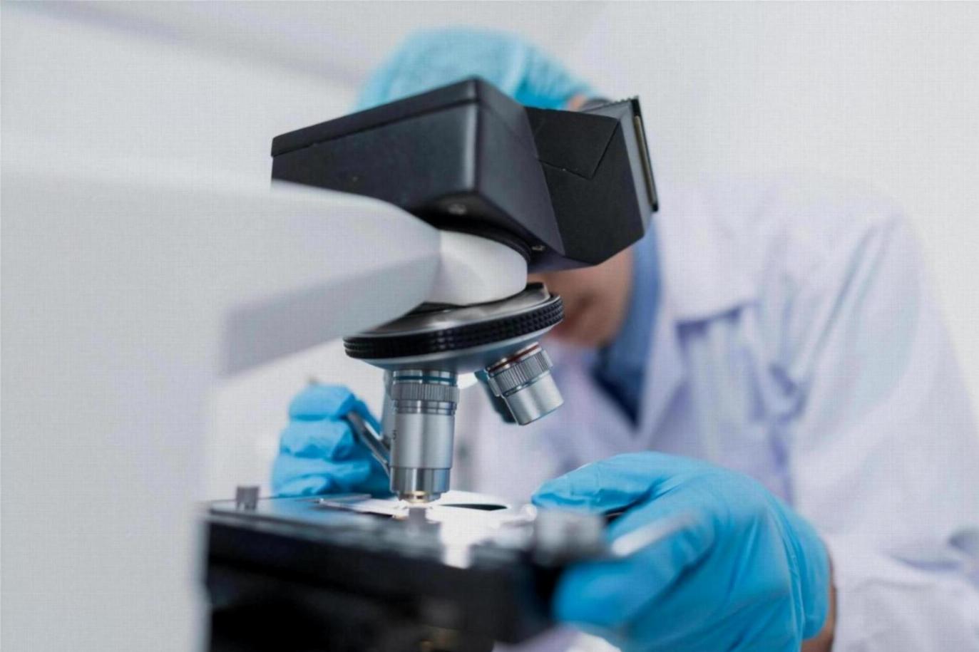 Study Biotechnology Courses in Malaysia 2025 Guide (2)